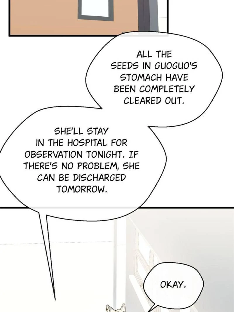 82152333 800 1067 55196